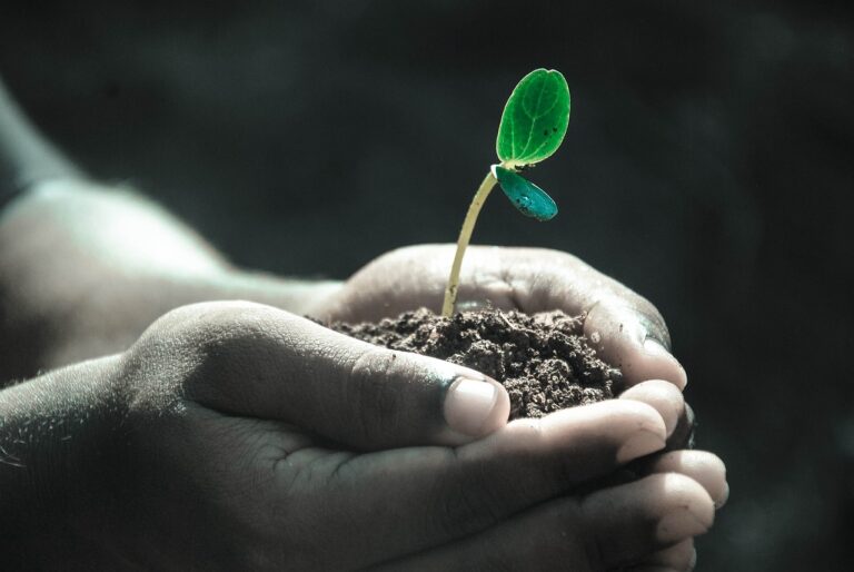 Lire la suite à propos de l’article LHA Est une ONG qui œuvre à résoudre les problèmes de dégradation des terres et ses impacts sur la santé humaine.